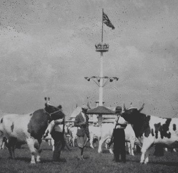 expo-lachute-fair-16