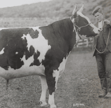 expo-lachute-fair-17